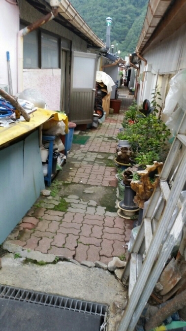 a_1438089080850.jpg